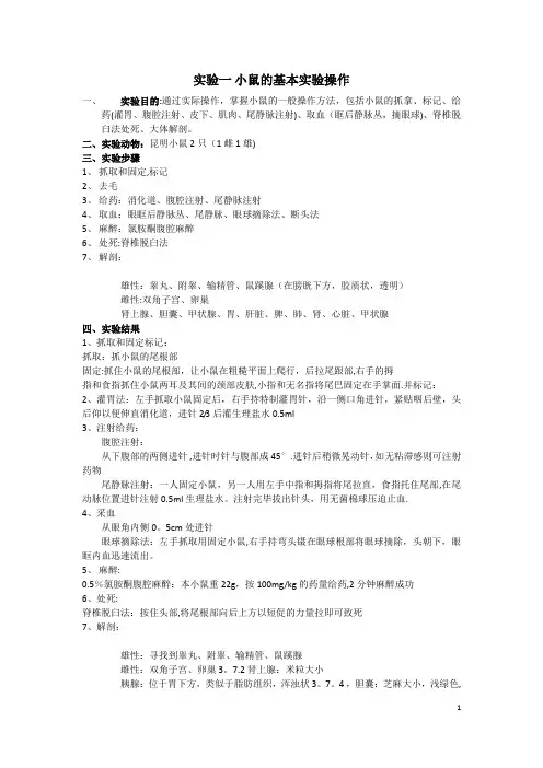 实验动物学实验报告(大鼠,小鼠),小鼠的基本实验操作,大鼠的基本实验操作