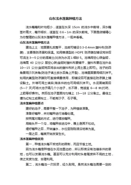 山东浅水莲藕种植方法