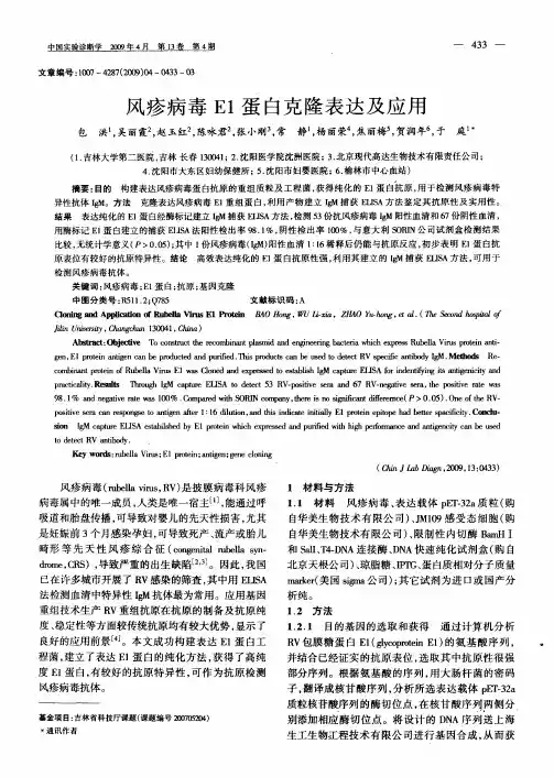 风疹病毒E1蛋白克隆表达及应用