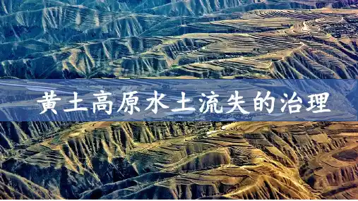 黄土高原水土流失的治理(课件)高二地理(中图版2019选择性必修2)