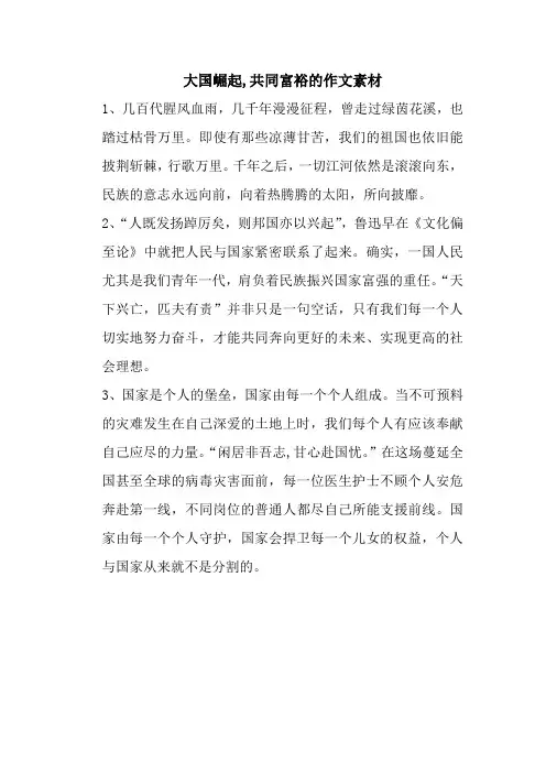 大国崛起,共同富裕的作文素材