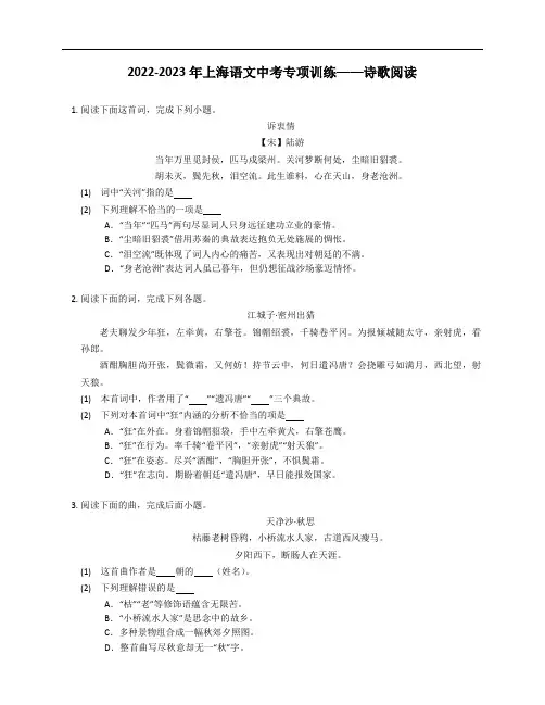 2022-2023年上海语文中考专项训练——诗歌阅读(含解析)
