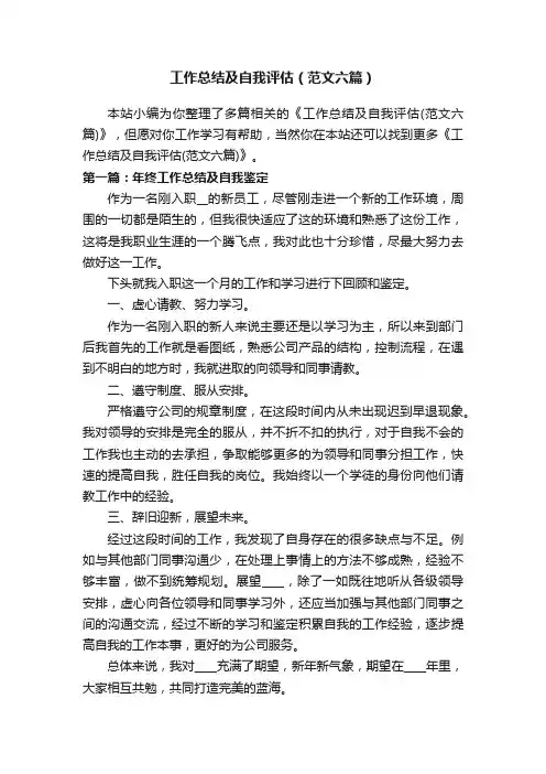 工作总结及自我评估（范文六篇）