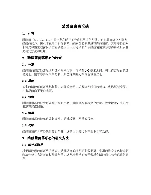 醋酸菌菌落形态