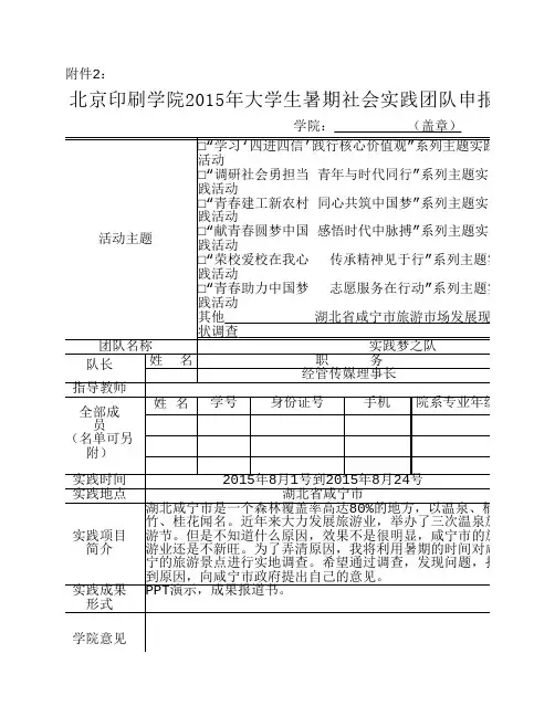 大学生暑期社会实践团队申报表
