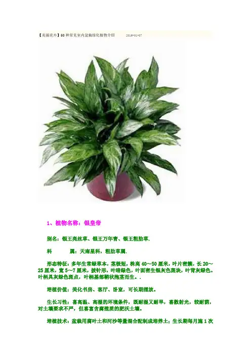 50种常见室内盆栽绿化植物