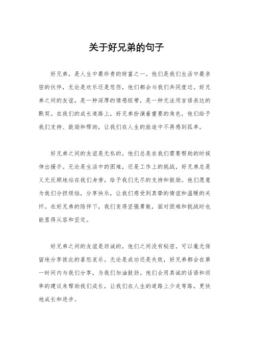 关于好兄弟的句子