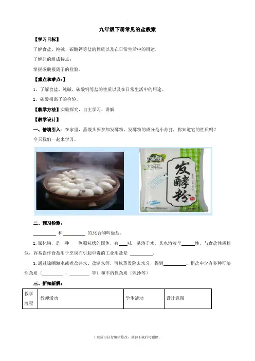 科粤版化学九年级下册 8.4.1 常见的盐 教案