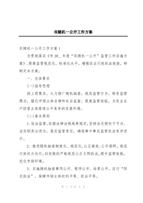 双随机一公开工作方案