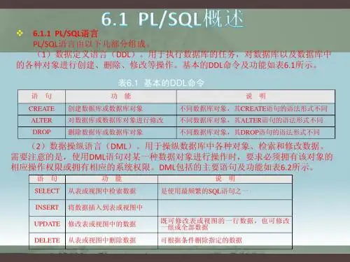 第6章  PL-SQL语言介绍