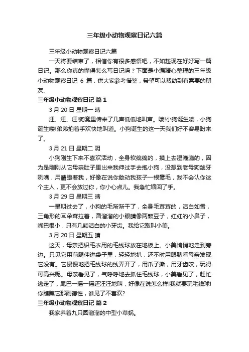 三年级小动物观察日记六篇