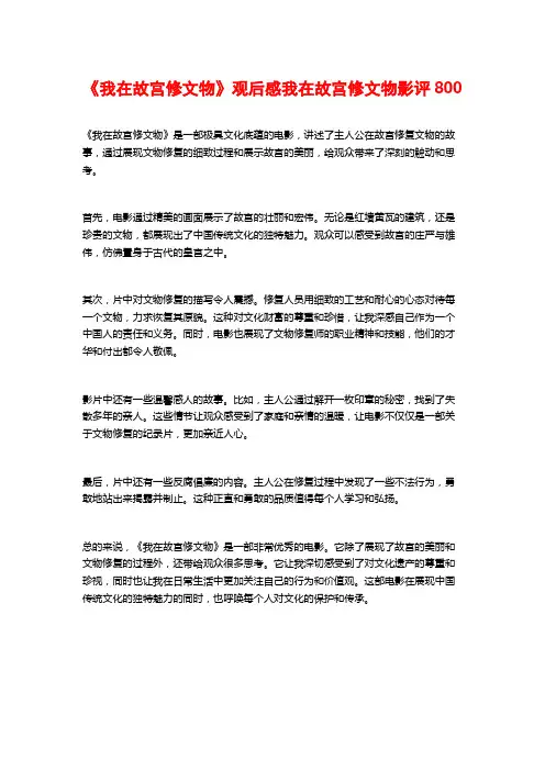 《我在故宫修文物》观后感我在故宫修文物影评800