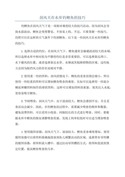 刮风天在水库钓鲤鱼的技巧