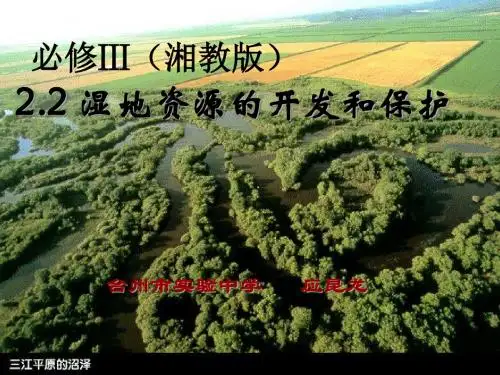 湿地资源的开发和保护
