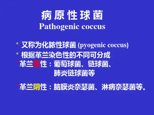 化脓性球菌