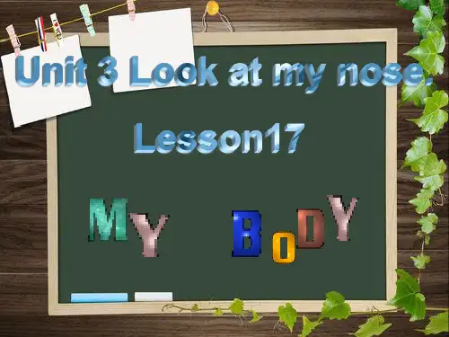 人教精通版英语三年级上册unit3lesson17