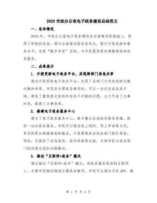 2023市政办公室电子政务建设总结范文