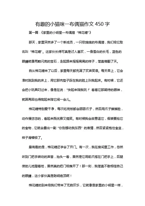 有趣的小猫咪一布偶猫作文450字