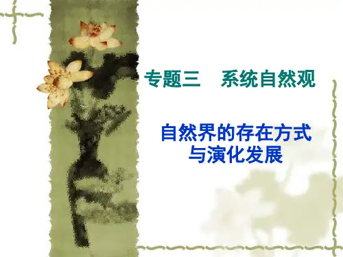 自然辩证法专题三 系统自然观