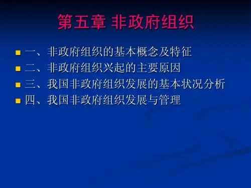 05非政府组织