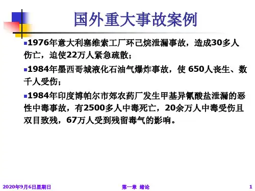 安全系统工程——国内外安全事故案例库1