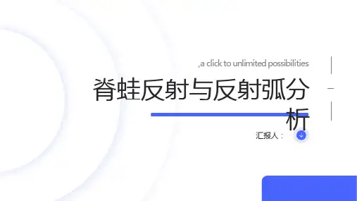 动物生理学实验脊蛙反射与反射弧分析