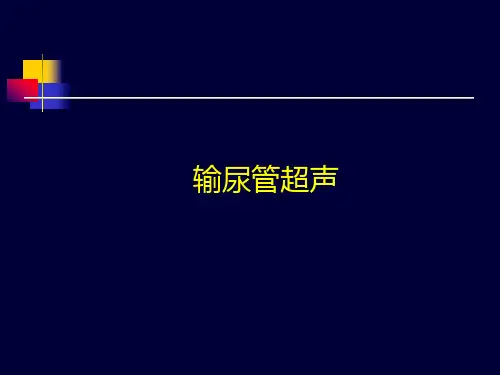 输尿管超声PPT