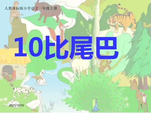 《比尾巴》课件(优秀课件)