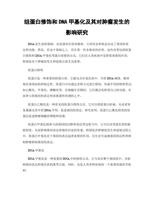 组蛋白修饰和DNA甲基化及其对肿瘤发生的影响研究