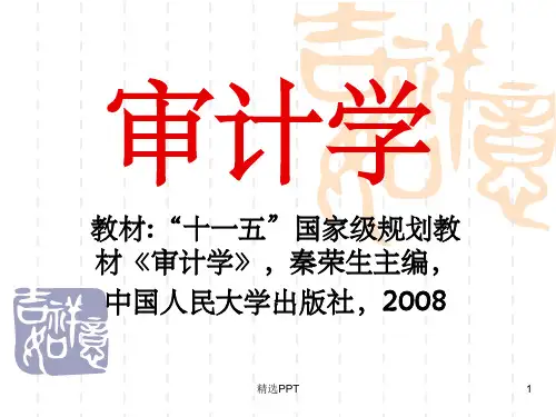 《人大审计第十一章》PPT课件