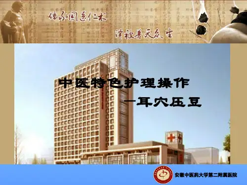 耳穴压豆  ppt课件