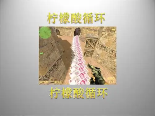 生物课件第23章柠檬酸循环