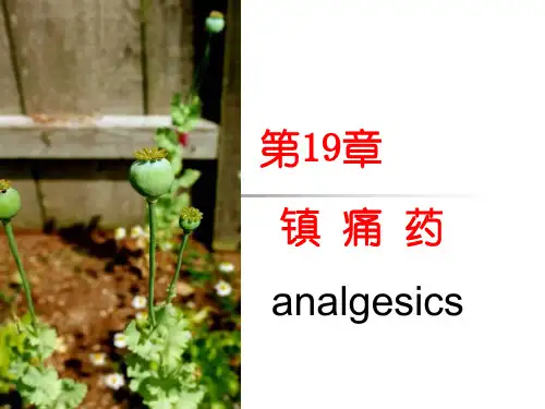 第19章镇痛药63330