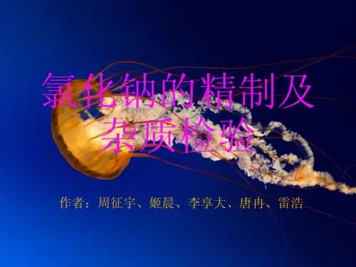 氯化钠精制