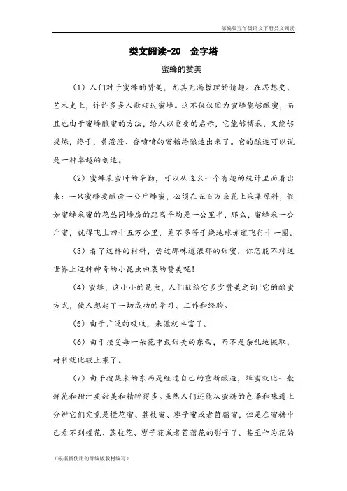 部编版五年级语文下册《 金字塔》阅读理解练习题含答案