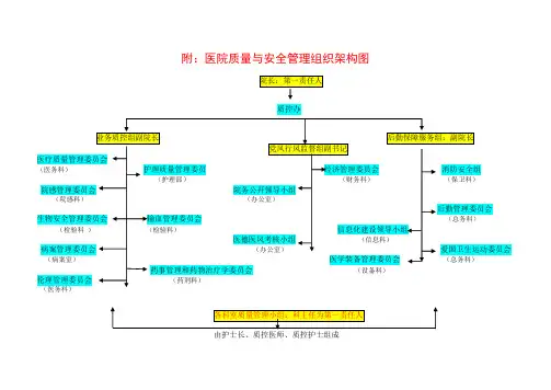 医院质量与安全管理组织机构图