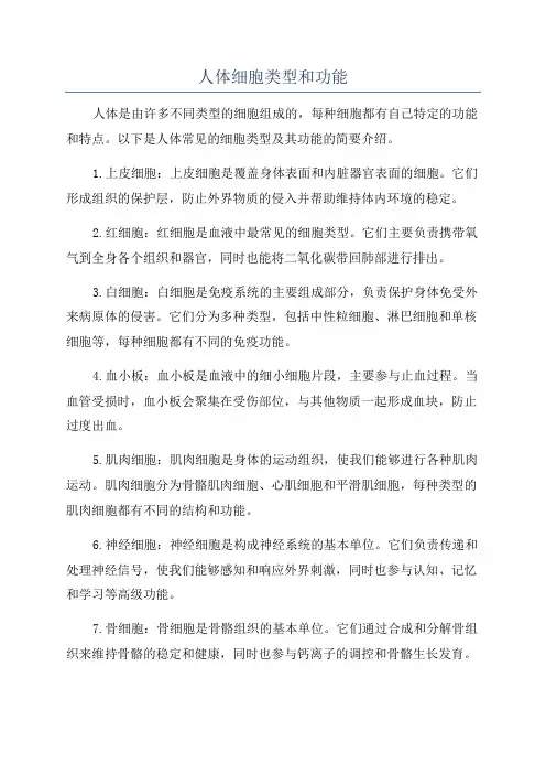人体细胞类型和功能