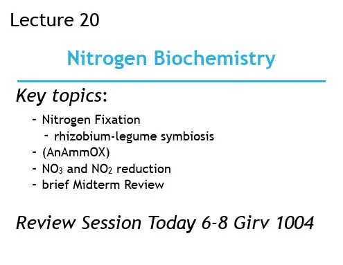 Principles of Biochemistry 108C lecture 20 slides