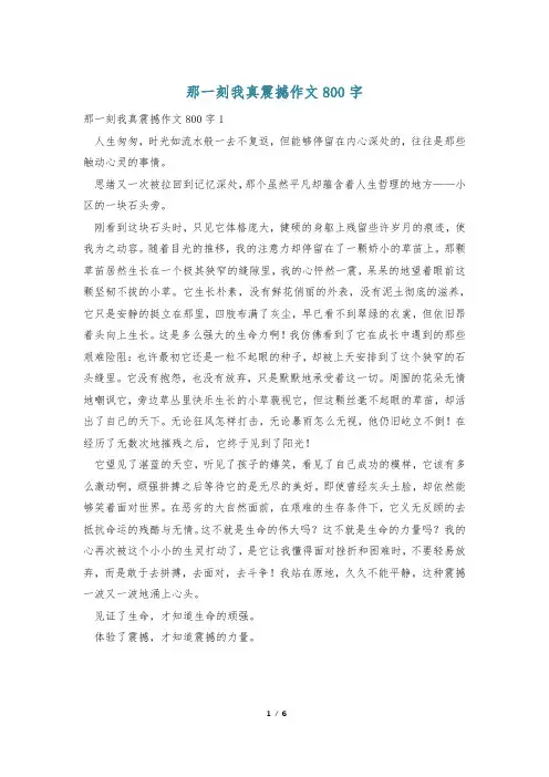 那一刻我真震撼作文800字