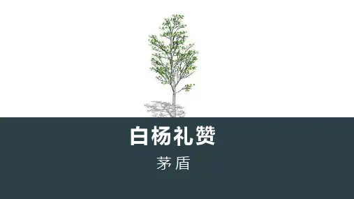 《白杨礼赞》PPT优质课件