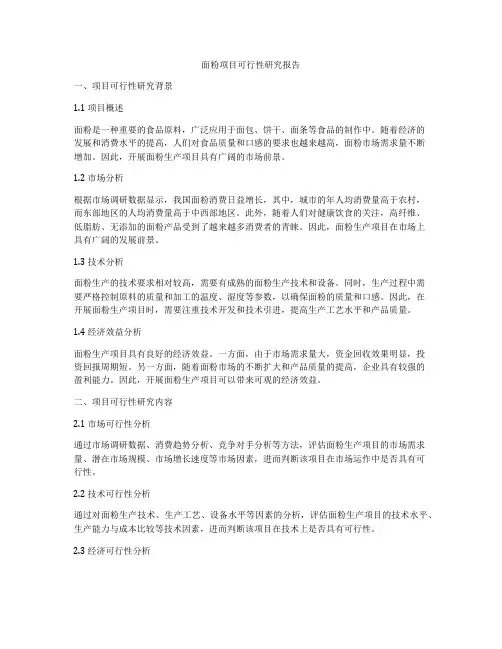 面粉项目可行性研究报告