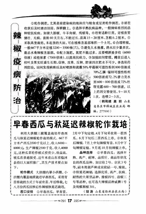 辣椒疫病防治