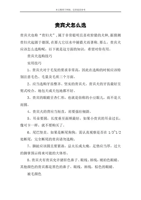 贵宾犬怎么选