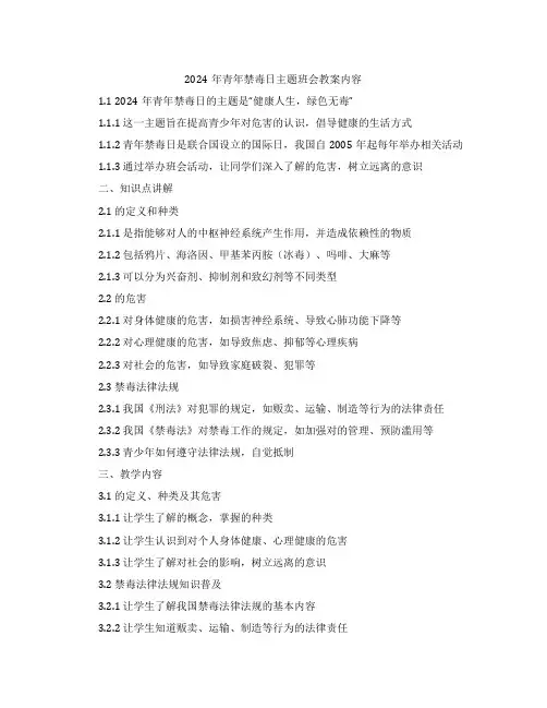 2024年青年禁毒日主题班会教案内容