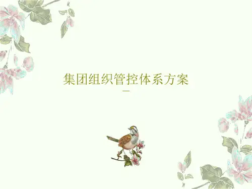 集团组织管控体系方案PPT47页