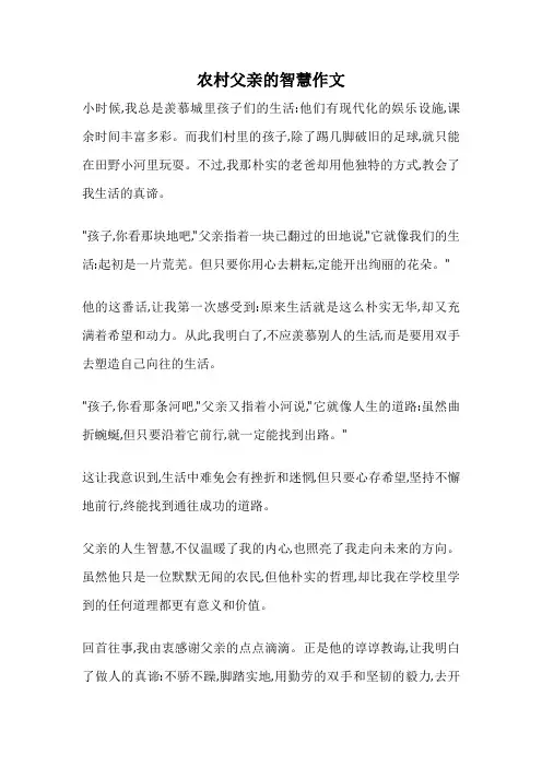 农村父亲的智慧作文