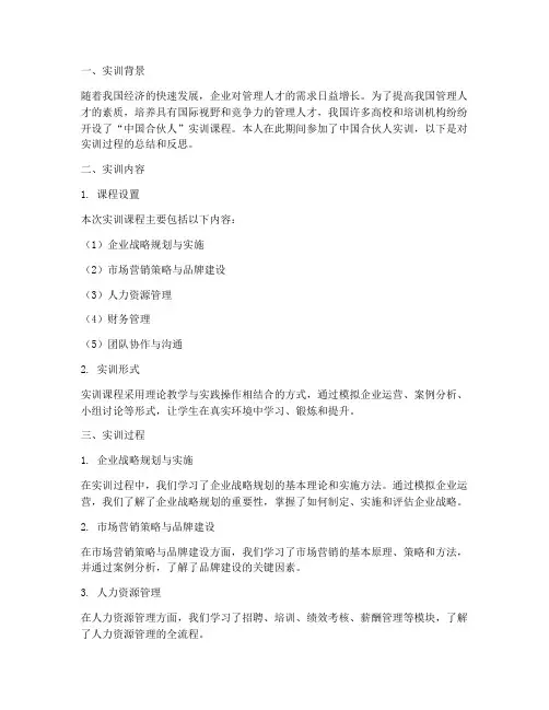 中国合伙人实训报告