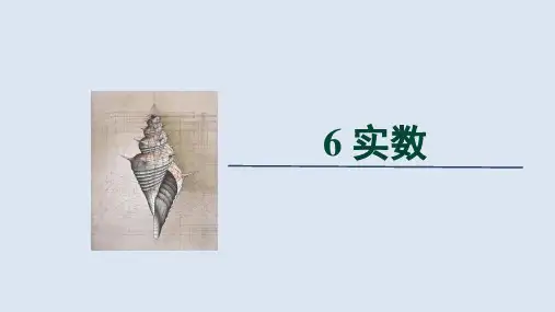 北师大版数学八年级上册《实数》课件