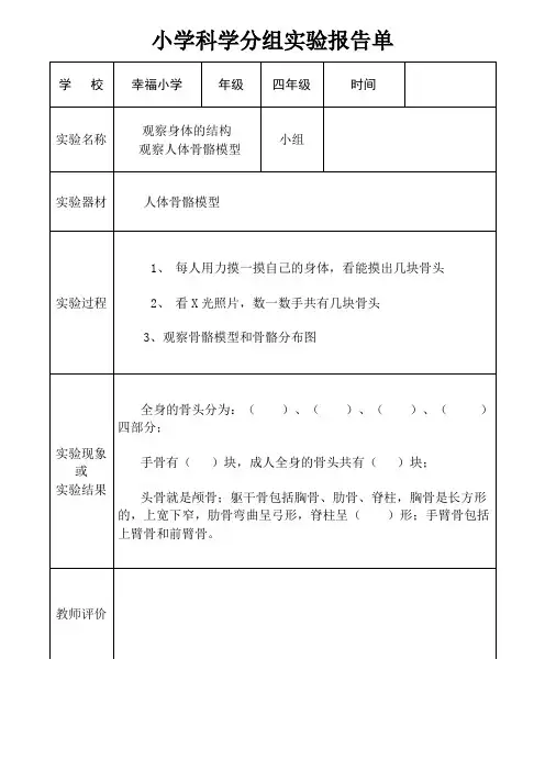 观察人体的骨骼模型实验报告单