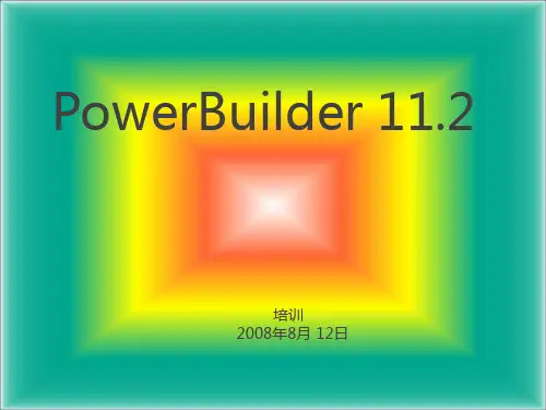PB11简介